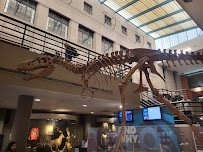 Buffalo Museum of Science photo 3