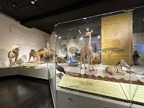 Buffalo Museum of Science photo 4