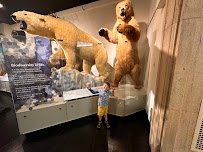 Buffalo Museum of Science photo 6