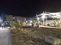 Winter Wonderland Ice Rink photo 6