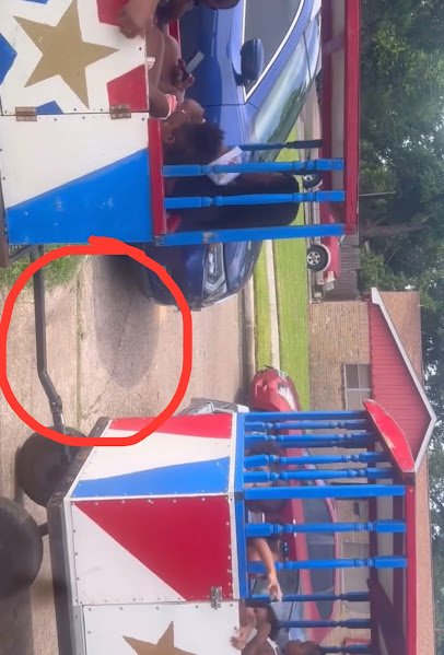Sweetie pies petting zoo photo 3