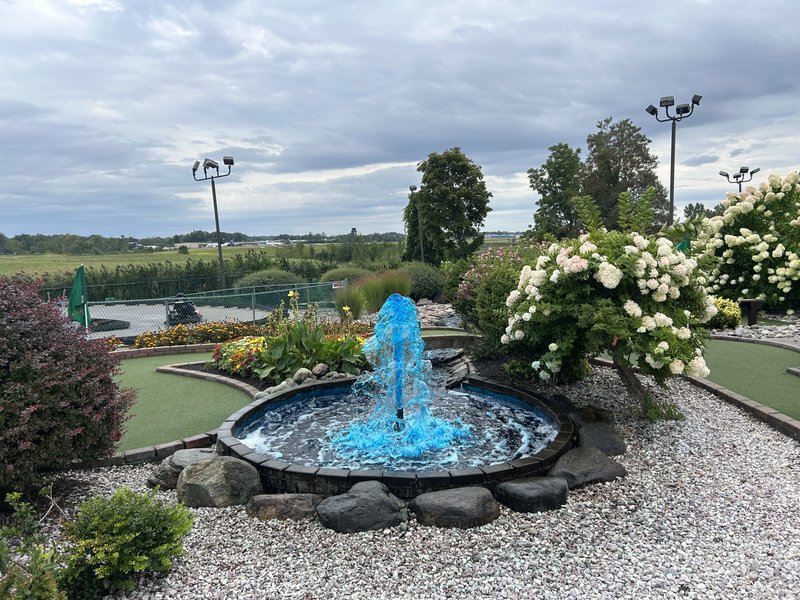 All 4 Fun Entertainment photo 4