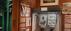 North Carolina History Center at Tryon Palace photo 2