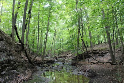 French Creek Nature Center and Theatre photo 3
