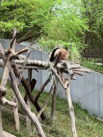 Asia Trail photo 2