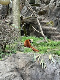 Asia Trail photo 5