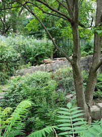 Asia Trail photo 6