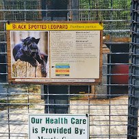 Tregembo Animal Park photo 5