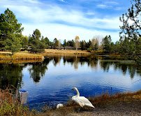 Sunriver Nature Center & Observatory photo 3