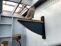 Sunriver Nature Center & Observatory photo 5