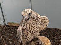 Sunriver Nature Center & Observatory photo 6