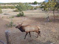 Wildlife West Nature Park photo 3