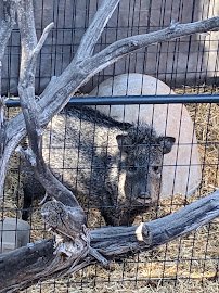 Wildlife West Nature Park photo 4