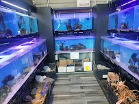 Age of Aquariums photo 3