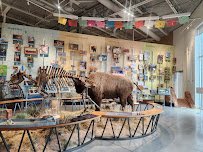 Fort Collins Museum of Discovery photo 5