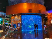 The Aquarium at Silverton Casino