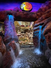 The Aquarium at Silverton Casino photo 4