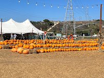 Pumpkin & Polar Palooza