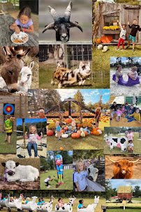 Incacheetoo Plantation and Petting Zoo LLC photo 3