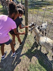 Incacheetoo Plantation and Petting Zoo LLC photo 5
