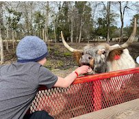 Incacheetoo Plantation and Petting Zoo LLC photo 6