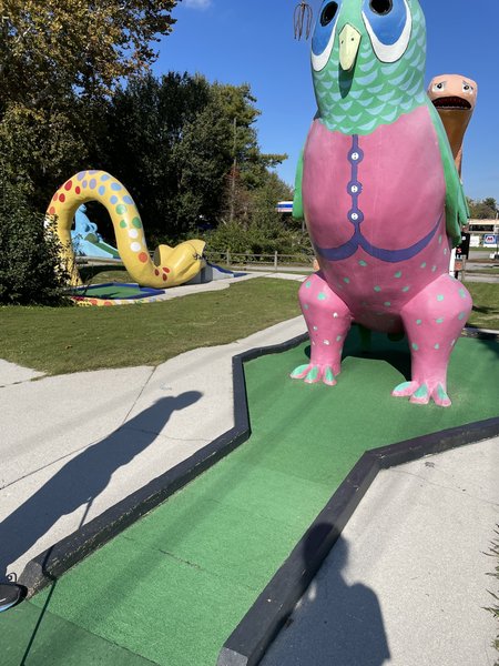 Sir Goony's Family Fun Center photo 4