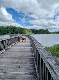 Newport News Park Discovery Center