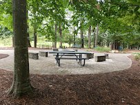 Newport News Park Discovery Center photo 2