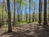 Newport News Park Discovery Center photo 3