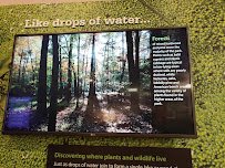 Newport News Park Discovery Center photo 6