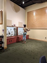 Kidsfirst Children's Museum photo 6