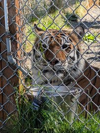 Olympic Game Farm Inc. photo 4