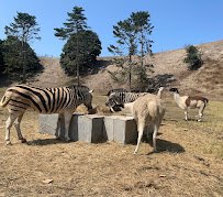 Olympic Game Farm Inc. photo 5