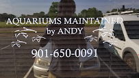 Aquariums Maintained by Andy