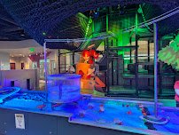 Randall Lewis Second Story and Beyond® photo 5