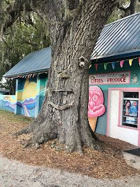Boyett's Grove & Citrus Attraction photo 6