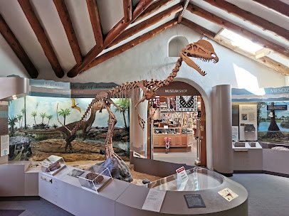 Museum of Northern Arizona photo 4
