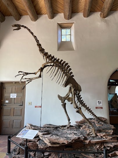 Museum of Northern Arizona photo 6
