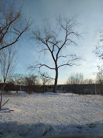 Fitzpatrick Ice Skating Rink photo 6