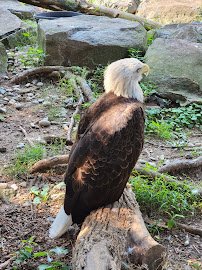 Elmwood Park Zoo photo 3