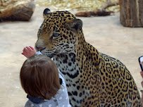 Elmwood Park Zoo photo 5