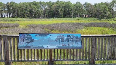 Bethany Beach Nature Center photo 2