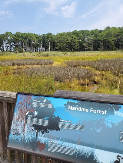 Bethany Beach Nature Center photo 3