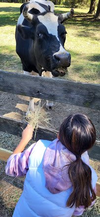 Feathered Farm photo 2