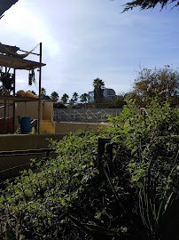Flamingo Pond photo 3