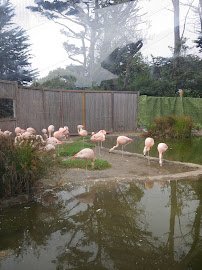 Flamingo Pond photo 5