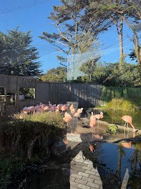 Flamingo Pond photo 6
