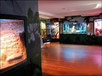 Center For Science Teaching And Learning photo 5