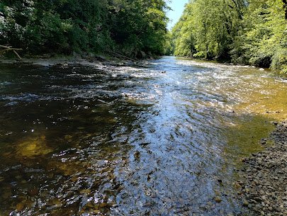 Catoctin Creek Park & Nature Center photo 5