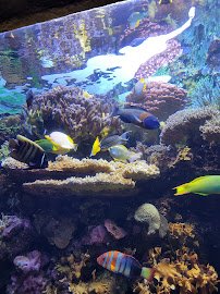 Colorado Ocean Journey